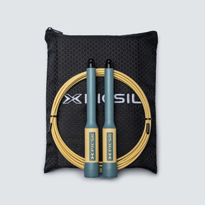 PICSIL Sphinx — visuel produit
